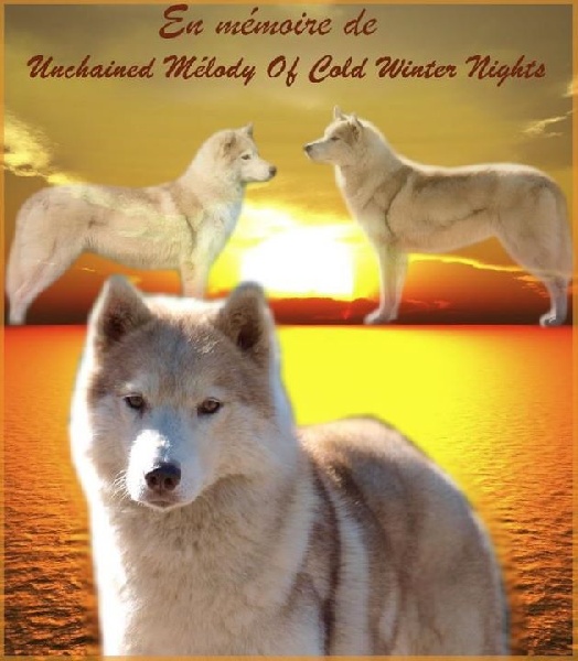 Unchained melody Of cold winter nights